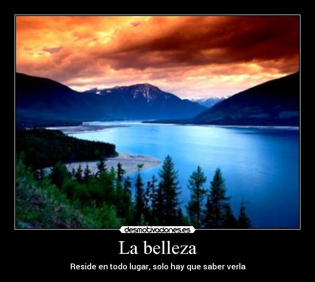 carteles nosequeetiquetasponerahora desmotivaciones