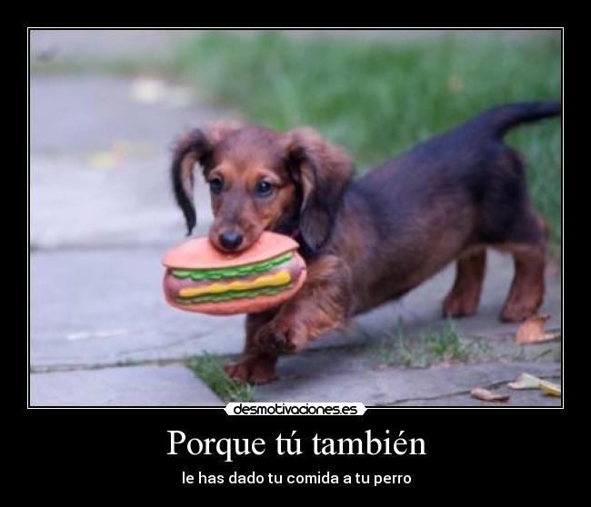 Porque tú también -