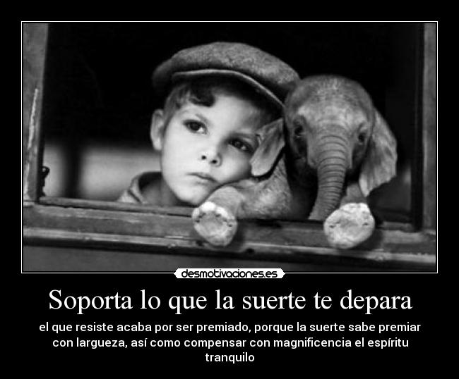 carteles desmotivaciones