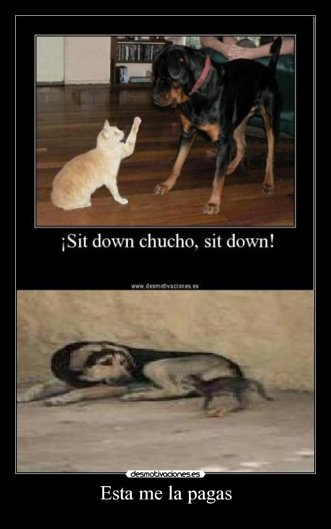 Esta me la pagas -