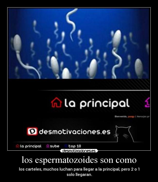 los espermatozoides son como - los carteles, muchos luchan para llegar a la principal, pero 2 o 1 solo llegaran.