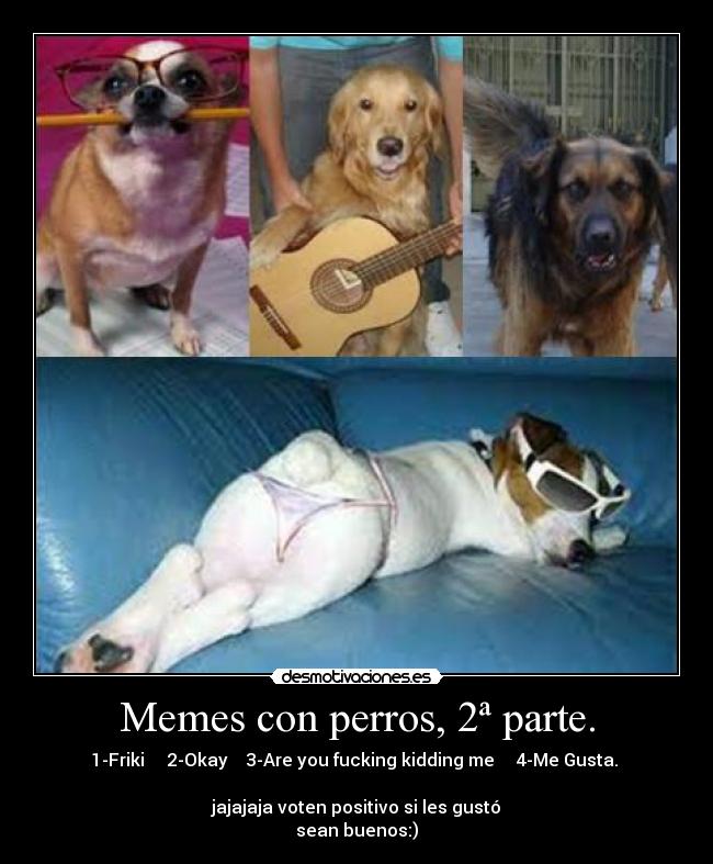 Memes con perros, 2ª parte. - 1-Friki 2-Okay 3-Are you fucking kidding me 4-Me Gusta.
jajajaja voten positivo si les gustó
sean buenos:)