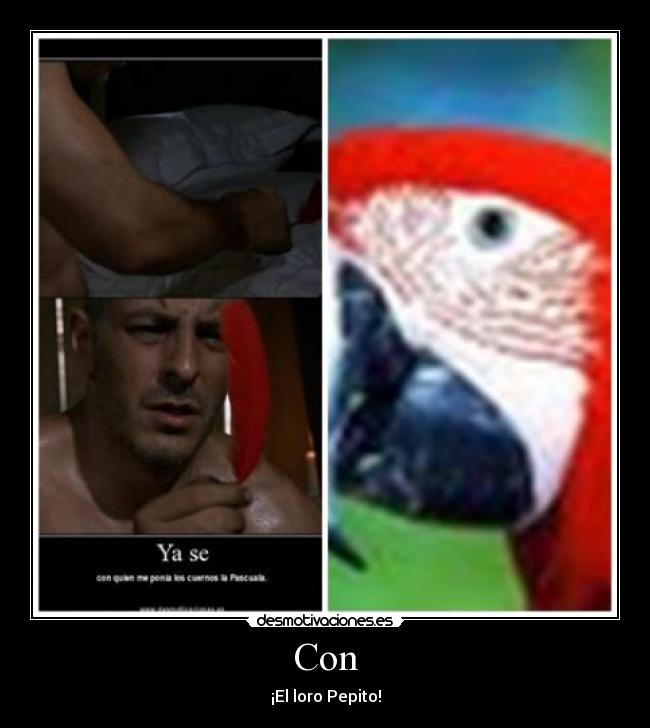 Con - ¡El loro Pepito!