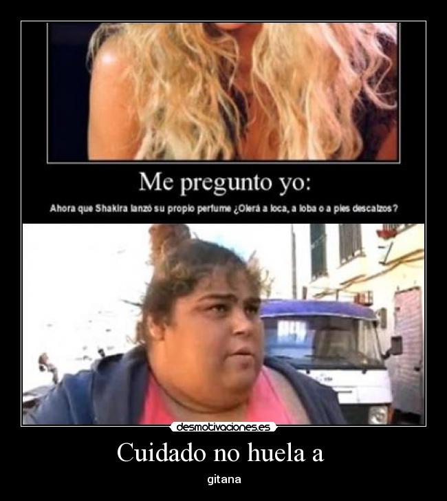 carteles gitana desmotivaciones