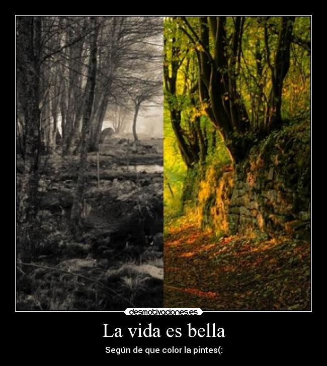 La vida es bella - 