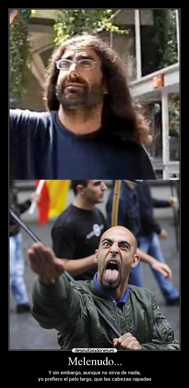 Melenudo... - 