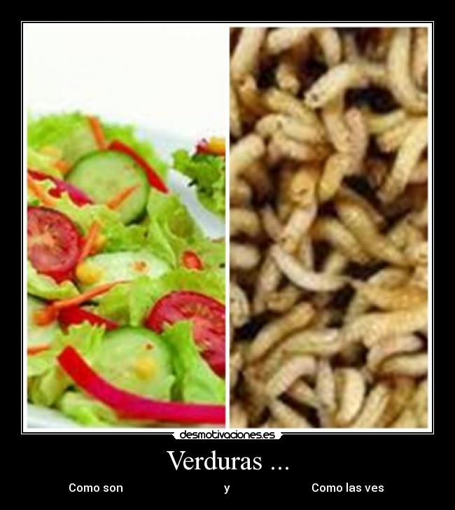 Verduras ... - 