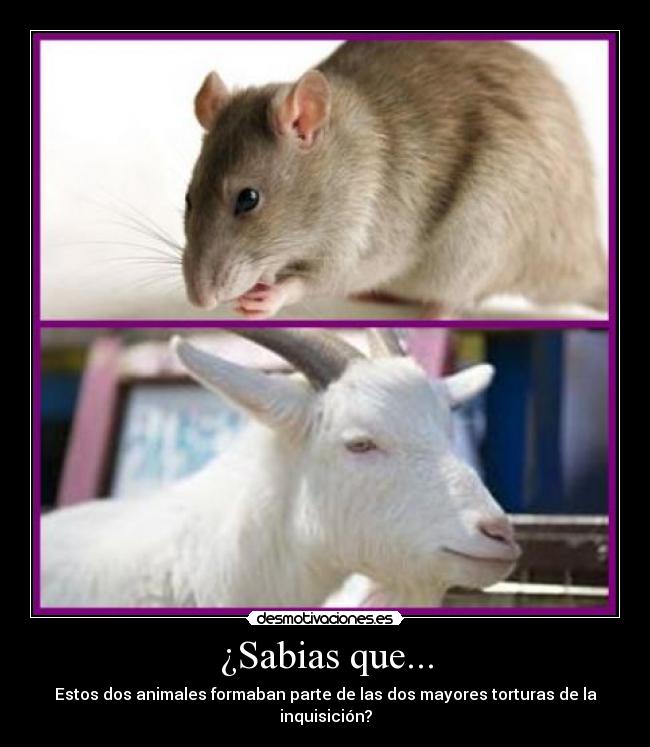 ¿Sabias que... -