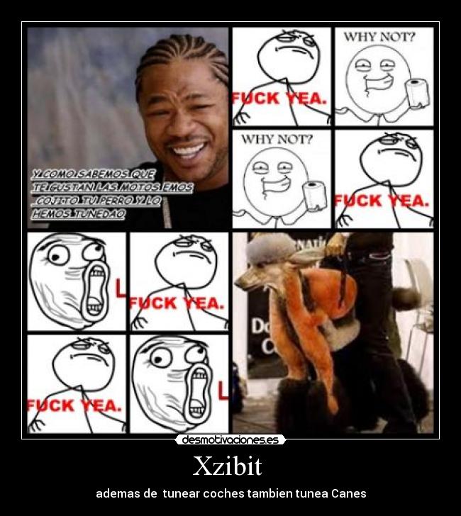 carteles tuneo mascotas xdddd desmotivaciones