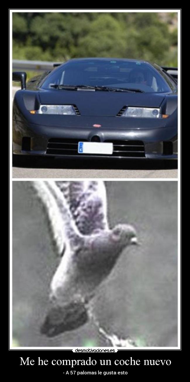 Me he comprado un coche nuevo - 