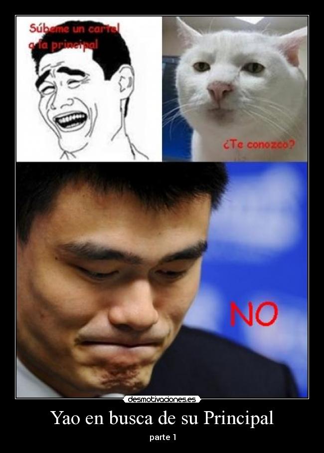 Yao en busca de su Principal -