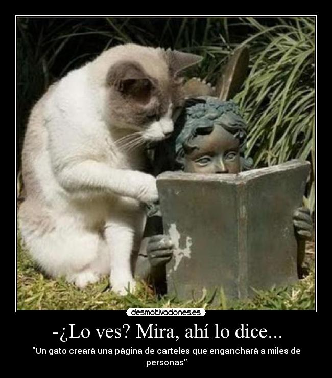 -¿Lo ves? Mira, ahí lo dice... - Un gato creará una página de carteles que enganchará a miles de personas