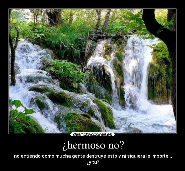 ¿hermoso no? - no entiendo como mucha gente destruye esto y ni siquiera le importe...
¿y tu?