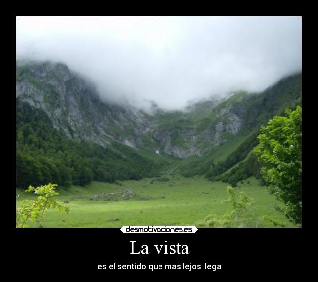 La vista - es el sentido que mas lejos llega
