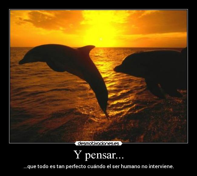 Y pensar... - 