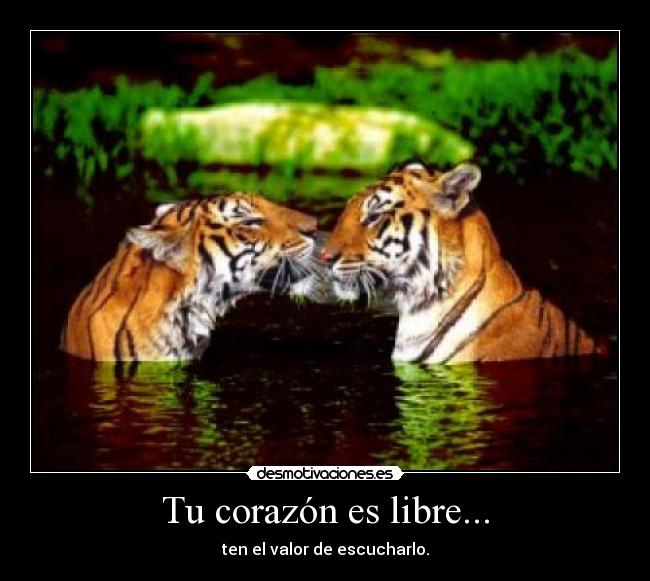 carteles corazon love desmotivaciones