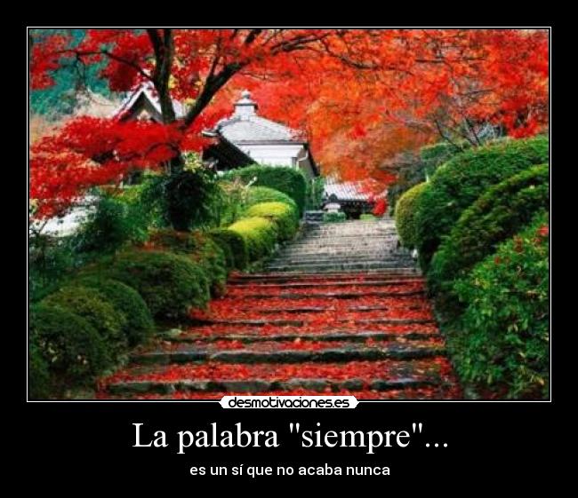 La palabra siempre... - es un sí que no acaba nunca