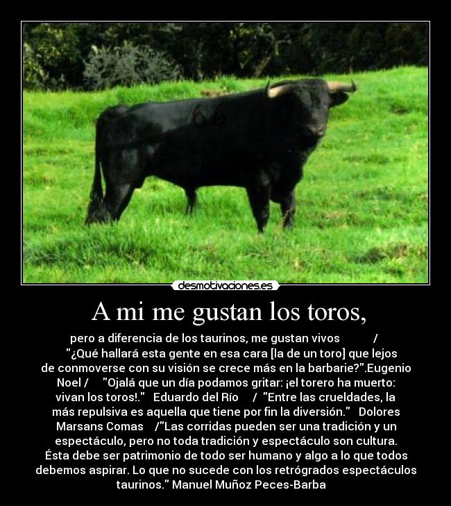  A mi me gustan los toros, -    pero a diferencia de los taurinos, me gustan vivos            /    
    ¿Qué hallará esta gente en esa cara [la de un toro] que lejos
de conmoverse con su visión se crece más en la barbarie?.Eugenio
Noel /     Ojalá que un día podamos gritar: ¡el torero ha muerto:
vivan los toros!.   Eduardo del Río     /  Entre las crueldades, la
más repulsiva es aquella que tiene por fin la diversión.   Dolores
Marsans Comas    /Las corridas pueden ser una tradición y un
espectáculo, pero no toda tradición y espectáculo son cultura.
Ésta debe ser patrimonio de todo ser humano y algo a lo que todos
debemos aspirar. Lo que no sucede con los retrógrados espectáculos
taurinos. Manuel Muñoz Peces-Barba   