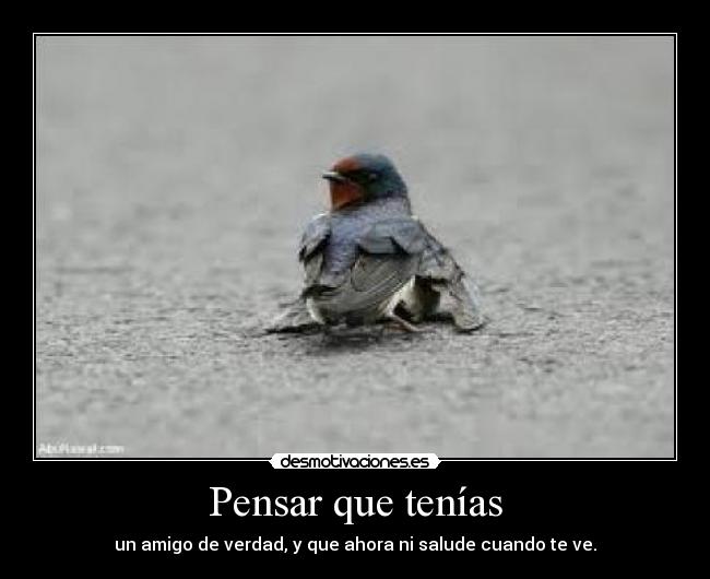 Pensar que tenías - un amigo de verdad, y que ahora ni salude cuando te ve.