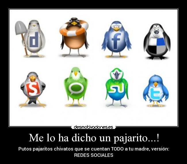 Me lo ha dicho un pajarito...! - Putos pajaritos chivatos que se cuentan TODO a tu madre, versión:
REDES SOCIALES