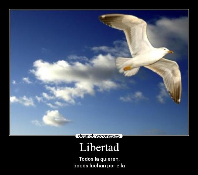 Libertad - Todos la quieren,
pocos luchan por ella