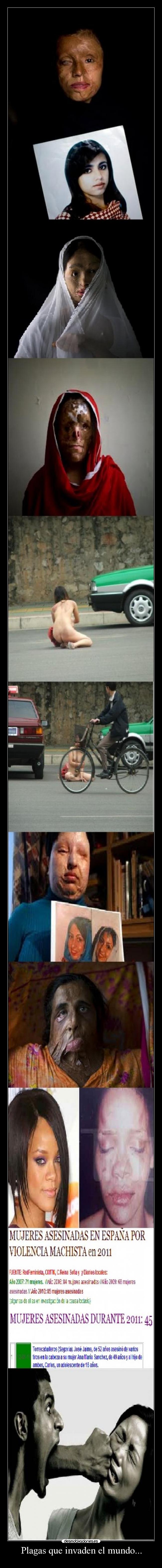 Plagas que invaden el mundo... -