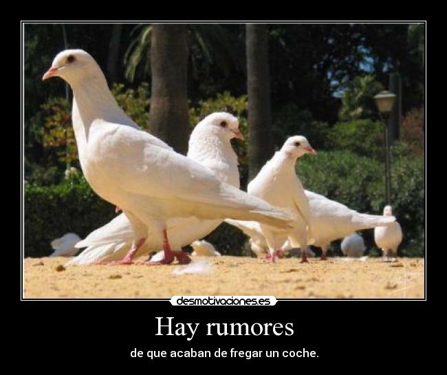 Hay rumores -