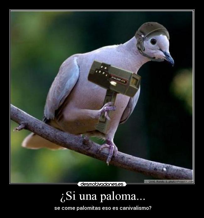 ¿Si una paloma... -