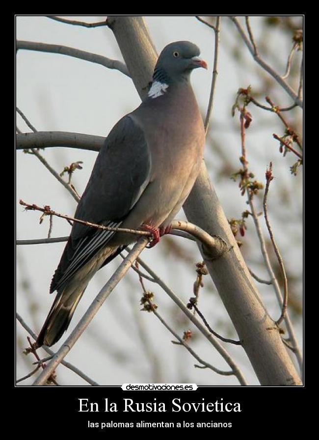 En la Rusia Sovietica - 