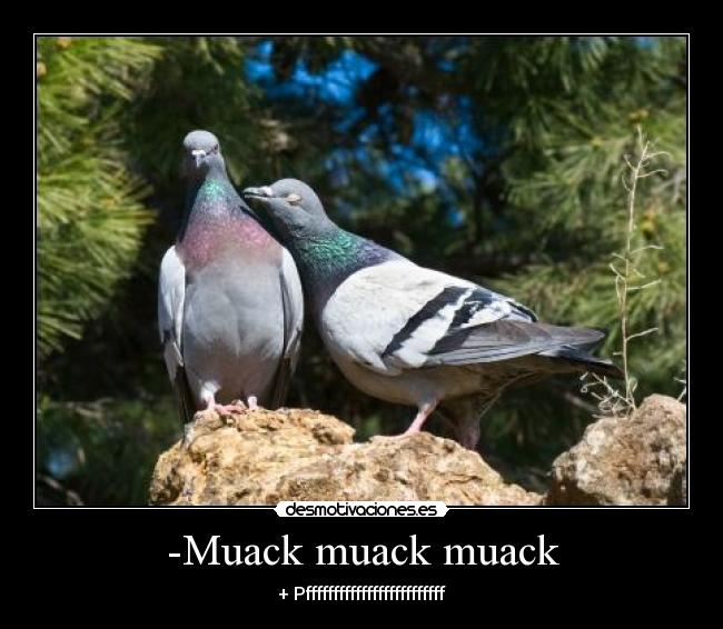 -Muack muack muack - + Pfffffffffffffffffffffffff