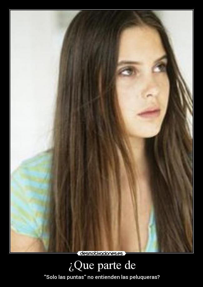 ¿Que parte de - Solo las puntas no entienden las peluqueras?