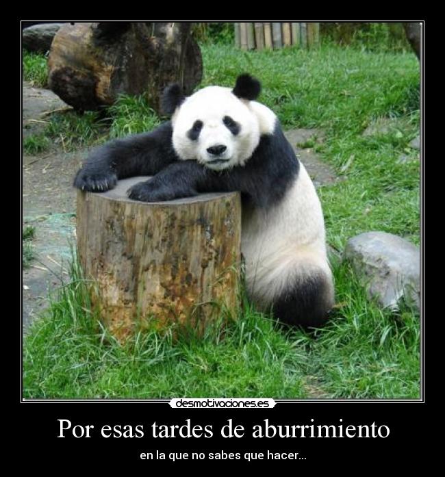 Por esas tardes de aburrimiento - 