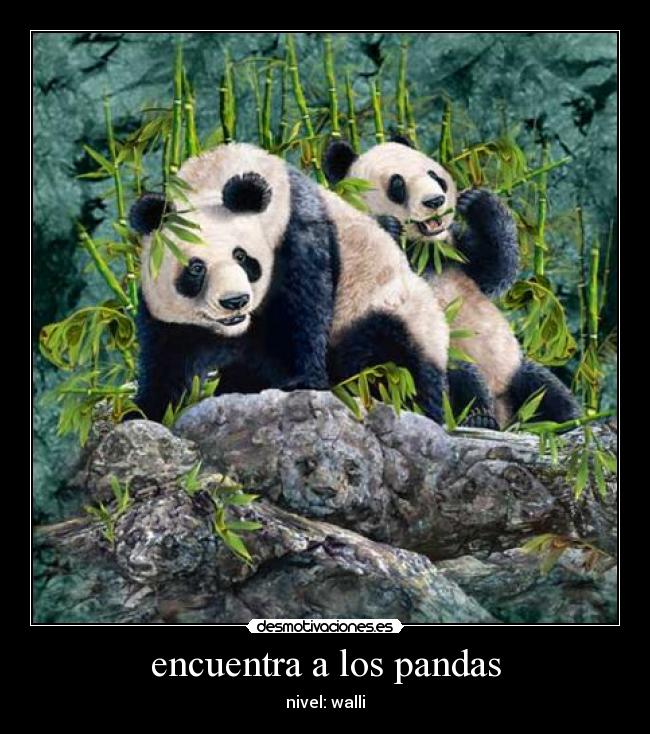 encuentra a los pandas - nivel: walli