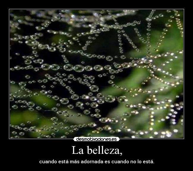 La belleza, - cuando está más adornada es cuando no lo está.