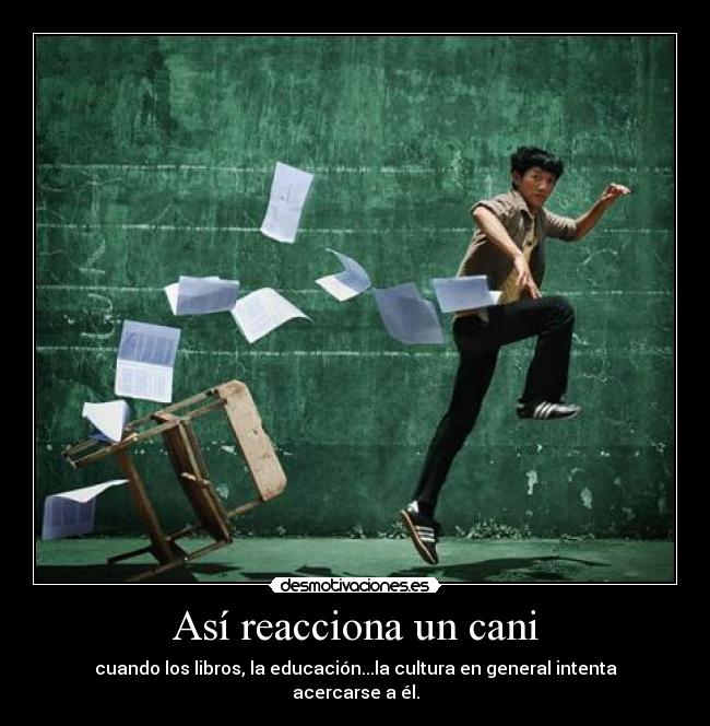 Así reacciona un cani - cuando los libros, la educación...la cultura en general intenta acercarse a él.