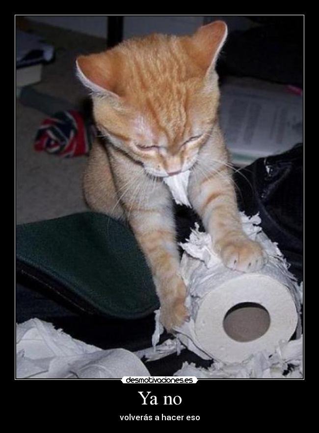 Ya no - volverás a hacer eso