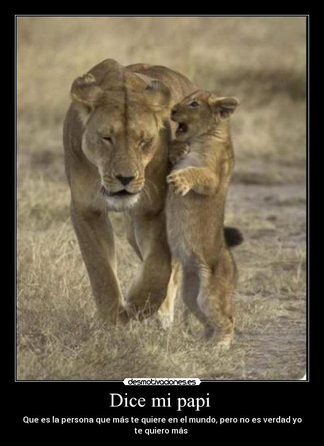 Dice mi papi  - Que es la persona que más te quiere en el mundo, pero no es verdad yo te quiero más 
