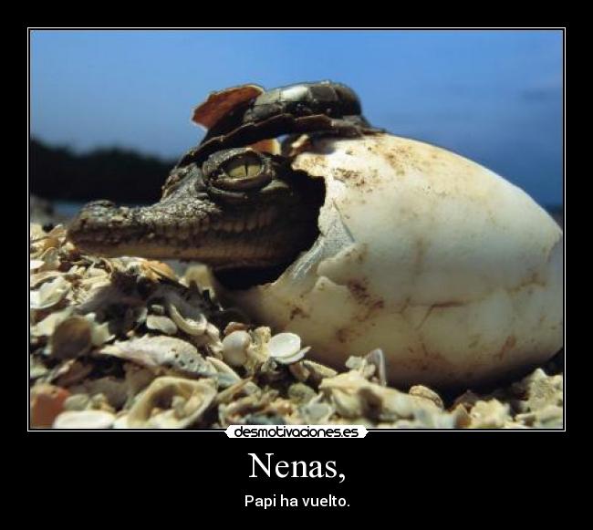 Nenas, - Papi ha vuelto.