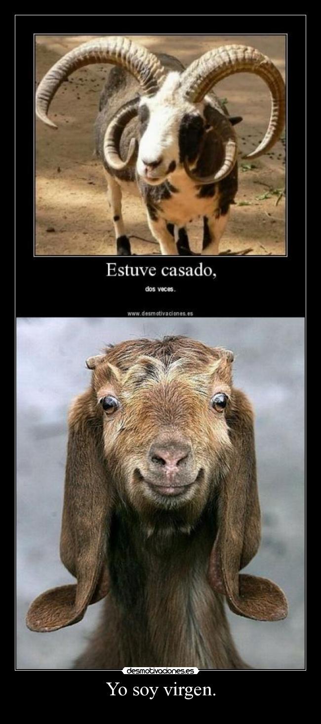 Yo soy virgen. - 