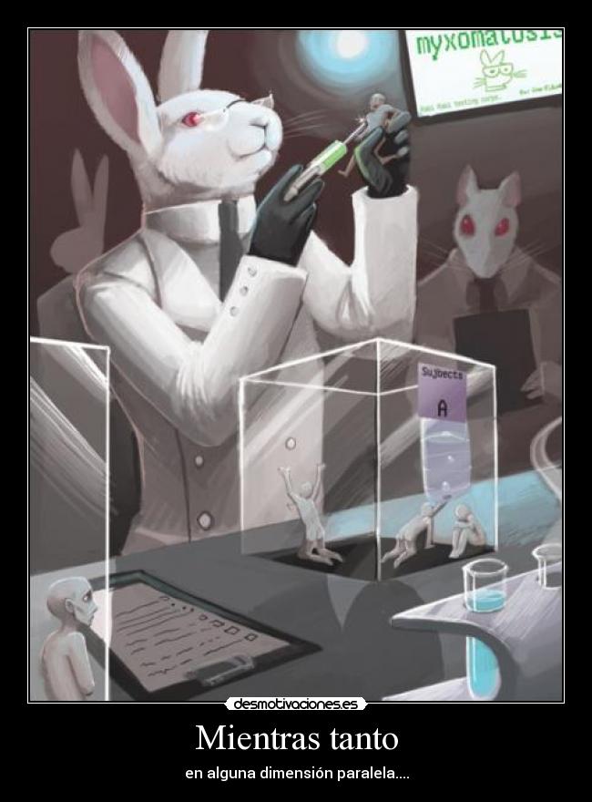 Mientras tanto - en alguna dimensión paralela....