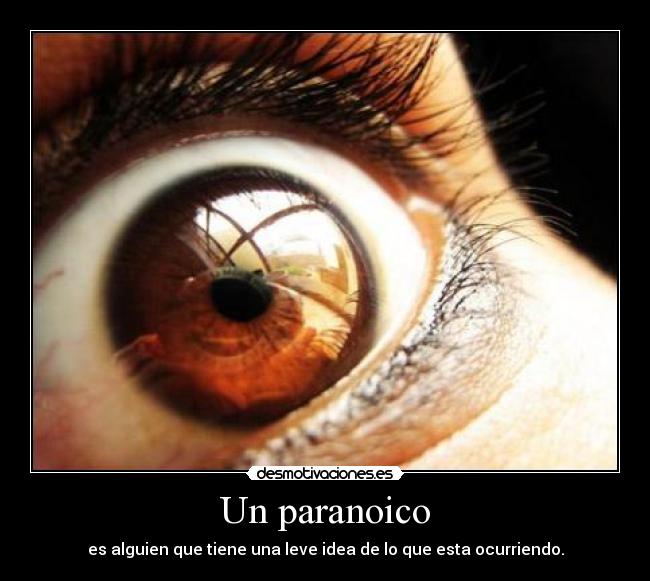 Un paranoico - es alguien que tiene una leve idea de lo que esta ocurriendo.