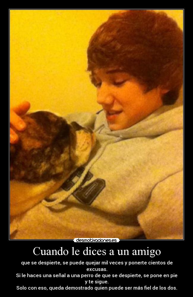 Cuando le dices a un amigo - que se despierte, se puede quejar mil veces y ponerte cientos de excusas.
Si le haces una señal a una perro de que se despierte, se pone en pie y te sigue.
Solo con eso, queda demostrado quien puede ser más fiel de los dos.