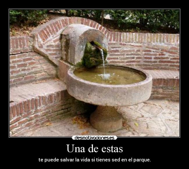 Una de estas - te puede salvar la vida si tienes sed en el parque.