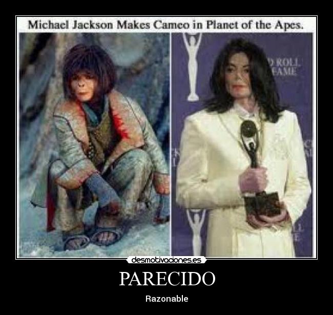 PARECIDO - Razonable