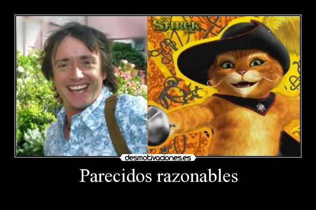 Parecidos razonables - 