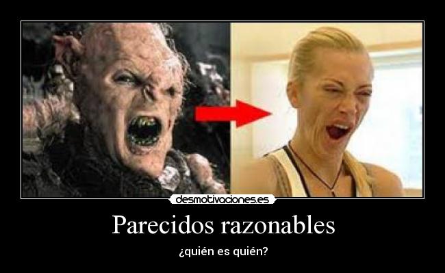 Parecidos razonables - 