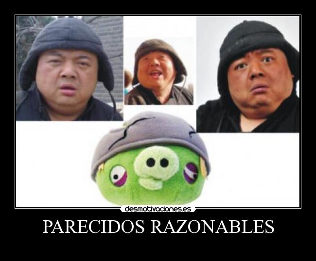 PARECIDOS RAZONABLES - 