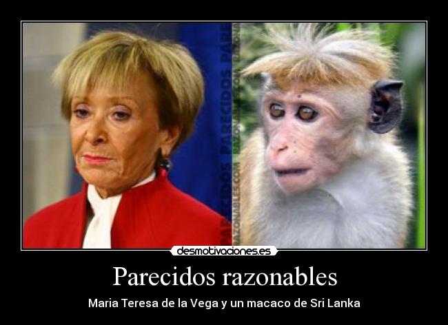 Parecidos razonables - 