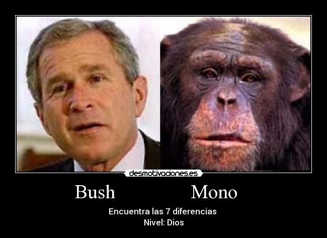 carteles bush-mono desmotivaciones