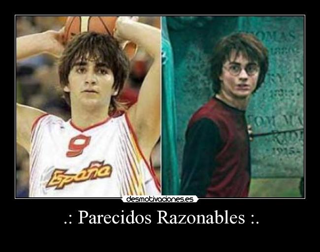 .: Parecidos Razonables :. - 